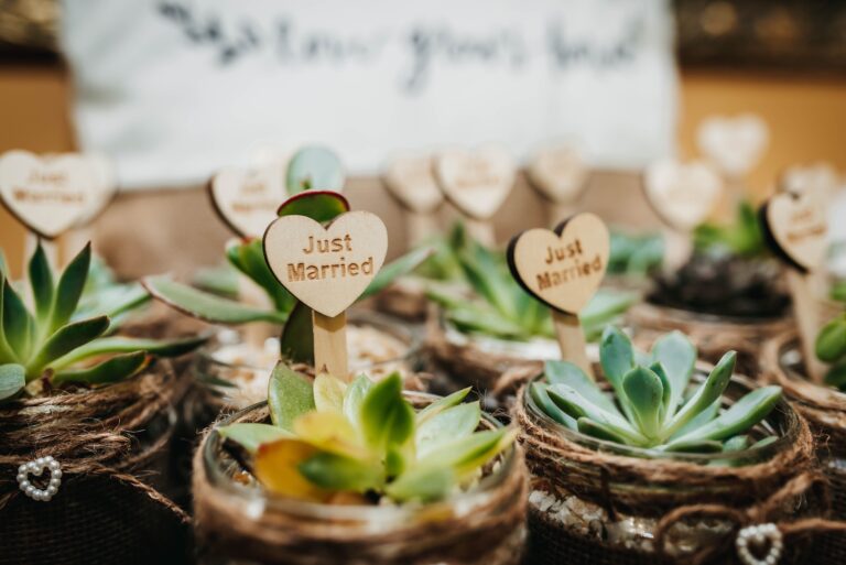 Small succulent wedding favors potted plant