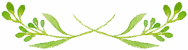 img_1.png