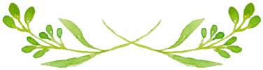 img_1.png